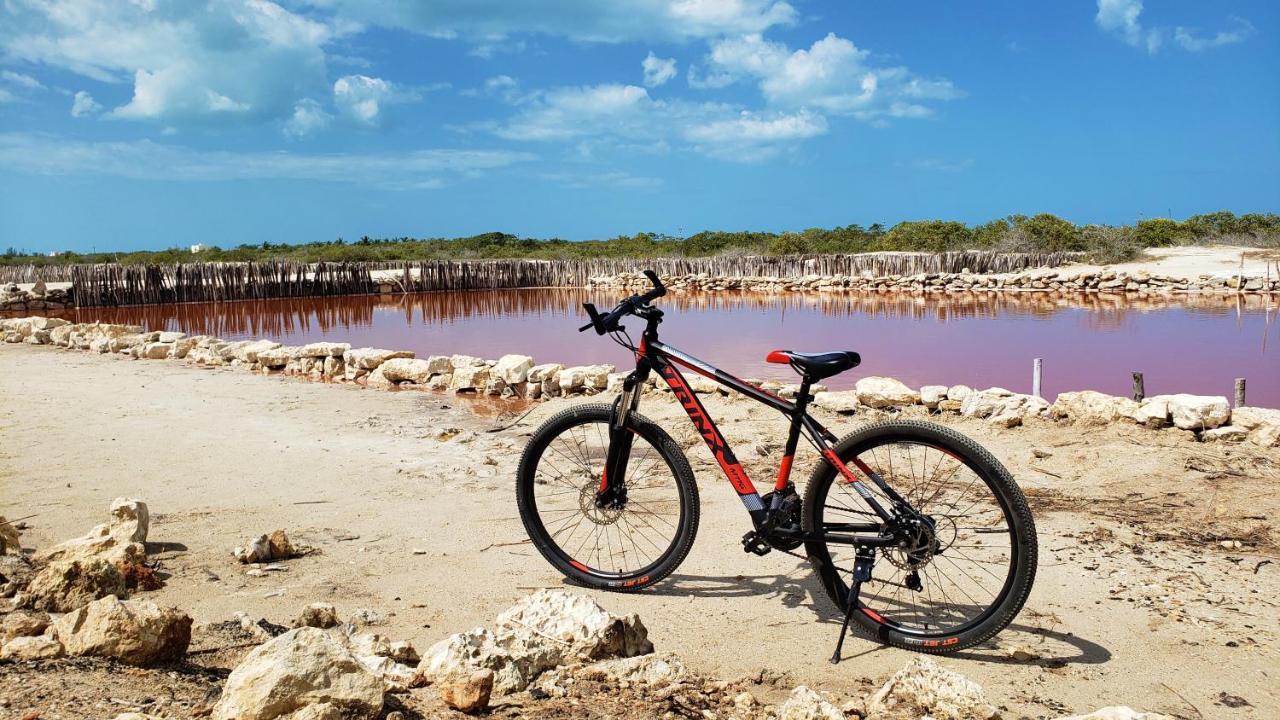 Reef Yucatan All Inclusive & Convention Center Mérida Eksteriør billede